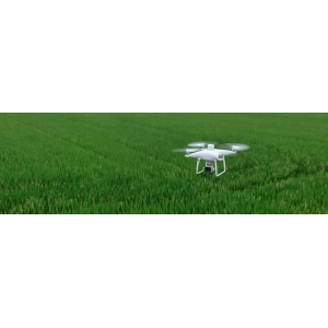 DJI Phantom 4 Multispectral