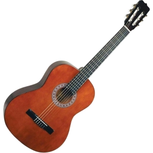 Guitarra Lucida LG510