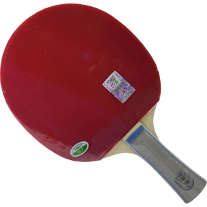 Raqueta de tenis de mesa 729 1060