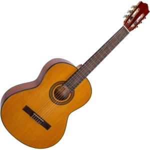 Guitarra Alfabeto CS39G