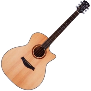 Guitarra Alfabeto WOS41