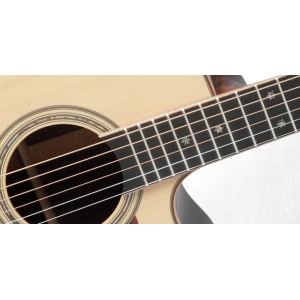 Takamine