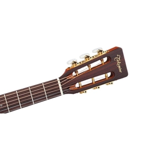 Takamine EF407