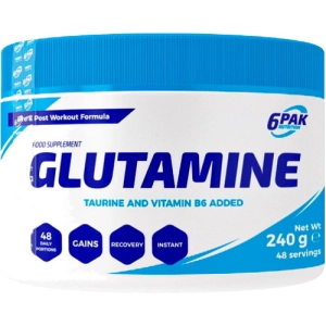 Aminoácidos 6Pak Nutrition Glutamine 240 g