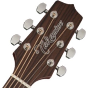 Takamine GN10CE