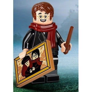 Lego Harry Potter Series 2 71028