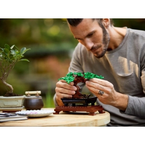 Lego Bonsai Tree 10281