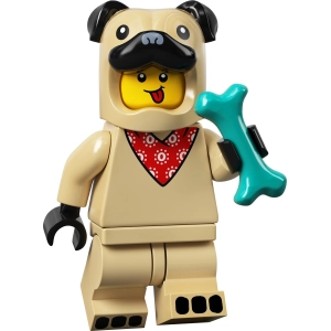 Lego Series 21 71029