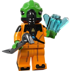 Lego Series 21 71029