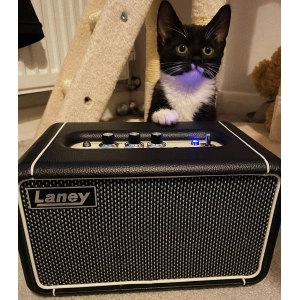 Laney F67