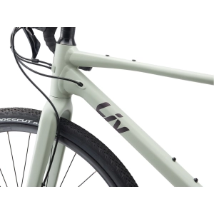 Giant Liv Devote 1 2021 frame XS