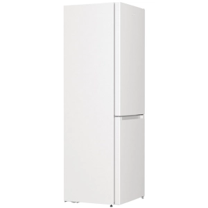 Gorenje RK 6191 EW4