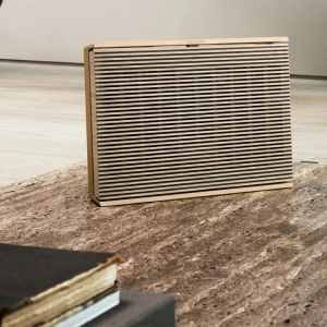 Bang&Olufsen Beosound Level