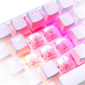 Teclados