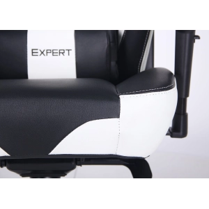 AMF VR Racer Expert Adept