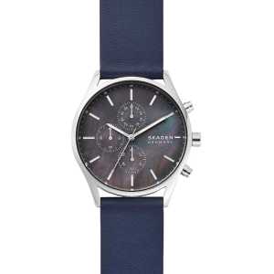 Reloj Skagen SKW6653