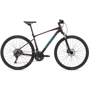 Giant Roam 2 Disc 2021 frame M