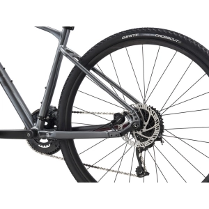 Giant Roam 2 Disc 2021 frame M