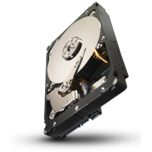 Disco duro Seagate ST33000651NS