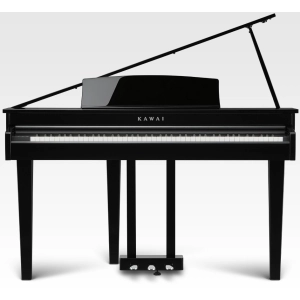 Kawai DG30