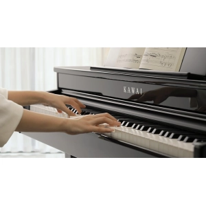 Kawai DG30