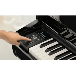 Kawai DG30