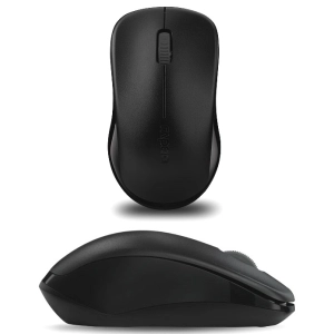 Ratón Rapoo Wireless Optical Mouse 1620