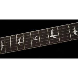 PRS SE Zach Myers