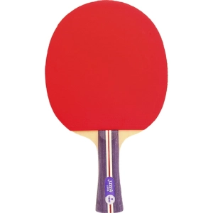 Raqueta de tenis de mesa DHS 1002