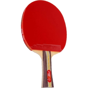 Raqueta de tenis de mesa DHS 3002