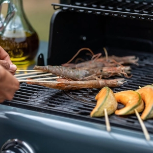 Barbacoa y barbacoa