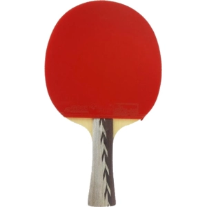 Raqueta de tenis de mesa DHS 4002