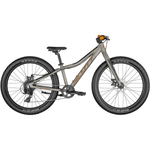 Bicicleta Scott Roxter 24 2021