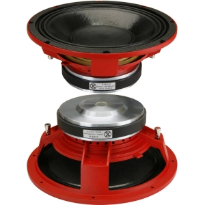 Subwoofer para automóvil DLS X-WE12