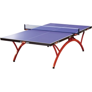 Mesa de tenis DHS T2828