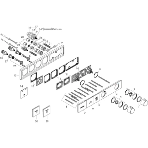 Hansgrohe RainSelect 15380000