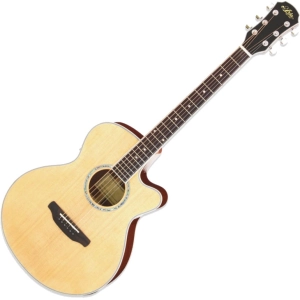 Guitarra ARIA FET-01STD