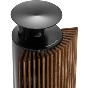 Bang&Olufsen BeoLab 18