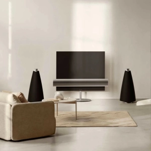 Bang&Olufsen BeoLab 20