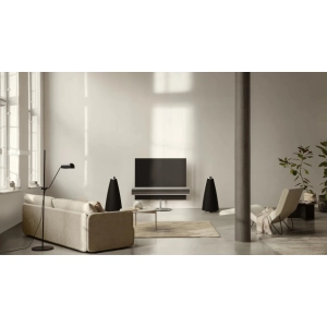 Bang&Olufsen BeoLab 20