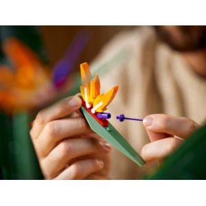 Lego Bird of Paradise 10289