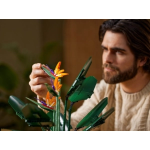 Lego Bird of Paradise 10289