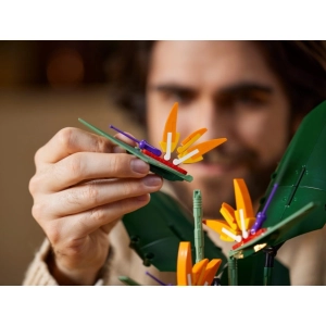 Lego Bird of Paradise 10289