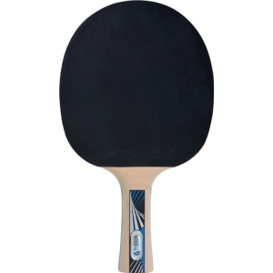 Raqueta de tenis de mesa Donic Legends 1000 FSC