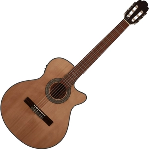 Guitarra Richwood RC-16-CE