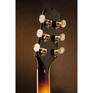 Takamine P6NC