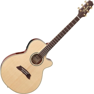 Takamine TSP138C