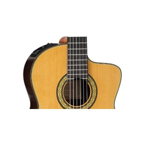 Takamine TH5C