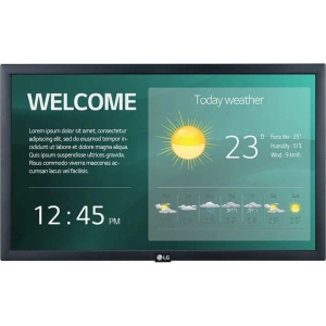 Monitor LG 22SM3G