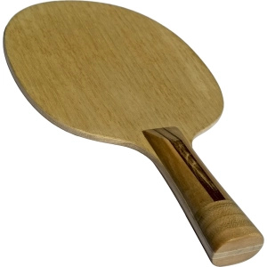 Raqueta de tenis de mesa VT Wood Defence